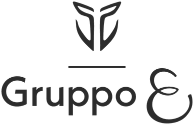 Logo Gruppo E